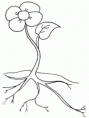 /album/prit/kytka-s-koreny-gif/